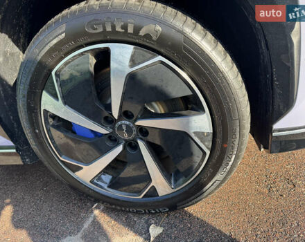 Фиолетовый БИД Sea Lion 07, объемом двигателя 0 л и пробегом 4 тыс. км за 31900 $, фото 10 на Automoto.ua