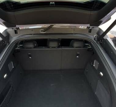 Фіолетовий БІД Sea Lion 07, об'ємом двигуна 0 л та пробігом 3 тис. км за 37900 $, фото 7 на Automoto.ua