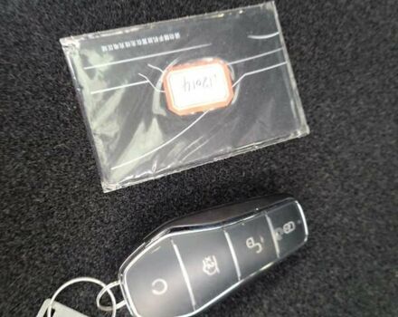 Фиолетовый БИД Sea Lion 07, объемом двигателя 0 л и пробегом 1 тыс. км за 36000 $, фото 59 на Automoto.ua