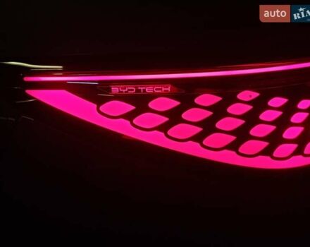 Фиолетовый БИД Sea Lion 07, объемом двигателя 0 л и пробегом 1 тыс. км за 36000 $, фото 85 на Automoto.ua