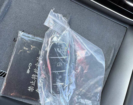 БИД Sea Lion 07, объемом двигателя 0 л и пробегом 1 тыс. км за 36500 $, фото 5 на Automoto.ua