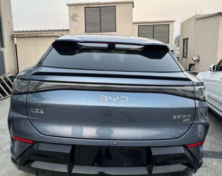 Серый БИД Sea Lion 07, объемом двигателя 0 л и пробегом 1 тыс. км за 32500 $, фото 5 на Automoto.ua