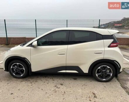 Белый БИД Seagull, объемом двигателя 0 л и пробегом 18 тыс. км за 13500 $, фото 3 на Automoto.ua