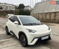 Белый БИД Seagull, объемом двигателя 0 л и пробегом 18 тыс. км за 13500 $, фото 1 на Automoto.ua