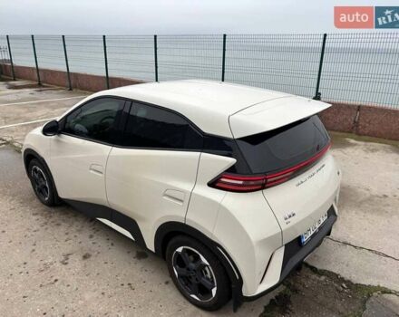 Белый БИД Seagull, объемом двигателя 0 л и пробегом 18 тыс. км за 13500 $, фото 4 на Automoto.ua