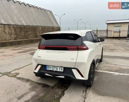 Белый БИД Seagull, объемом двигателя 0 л и пробегом 18 тыс. км за 13500 $, фото 2 на Automoto.ua