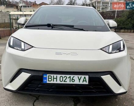 Белый БИД Seagull, объемом двигателя 0 л и пробегом 18 тыс. км за 13500 $, фото 5 на Automoto.ua