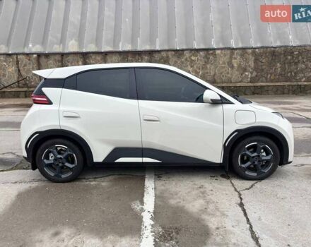 Белый БИД Seagull, объемом двигателя 0 л и пробегом 18 тыс. км за 13500 $, фото 1 на Automoto.ua