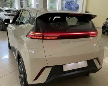 Белый БИД Seagull, объемом двигателя 0 л и пробегом 1 тыс. км за 13900 $, фото 1 на Automoto.ua