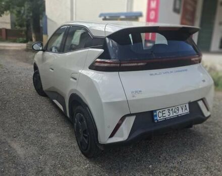 Белый БИД Seagull, объемом двигателя 0 л и пробегом 10 тыс. км за 13100 $, фото 2 на Automoto.ua