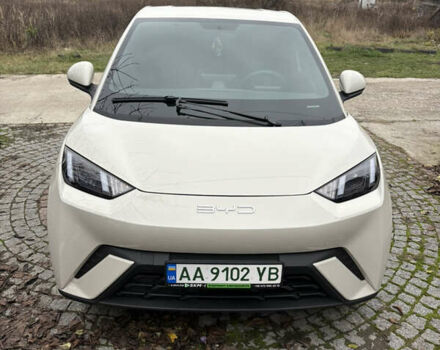 Белый БИД Seagull, объемом двигателя 0 л и пробегом 21 тыс. км за 14300 $, фото 8 на Automoto.ua