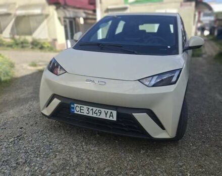 Белый БИД Seagull, объемом двигателя 0 л и пробегом 10 тыс. км за 13100 $, фото 1 на Automoto.ua