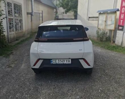 Белый БИД Seagull, объемом двигателя 0 л и пробегом 10 тыс. км за 13100 $, фото 3 на Automoto.ua