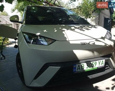Белый БИД Seagull, объемом двигателя 0 л и пробегом 4 тыс. км за 14500 $, фото 9 на Automoto.ua