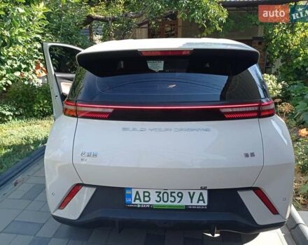 Белый БИД Seagull, объемом двигателя 0 л и пробегом 4 тыс. км за 14500 $, фото 6 на Automoto.ua