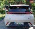 Белый БИД Seagull, объемом двигателя 0 л и пробегом 4 тыс. км за 14500 $, фото 6 на Automoto.ua