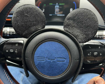 Белый БИД Seagull, объемом двигателя 0 л и пробегом 17 тыс. км за 14000 $, фото 1 на Automoto.ua