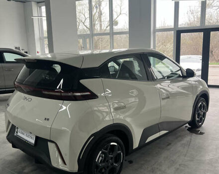 Белый БИД Seagull, объемом двигателя 0 л и пробегом 1 тыс. км за 15700 $, фото 4 на Automoto.ua