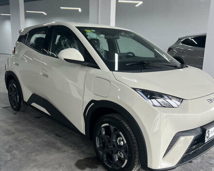 Белый БИД Seagull, объемом двигателя 0 л и пробегом 1 тыс. км за 15700 $, фото 2 на Automoto.ua