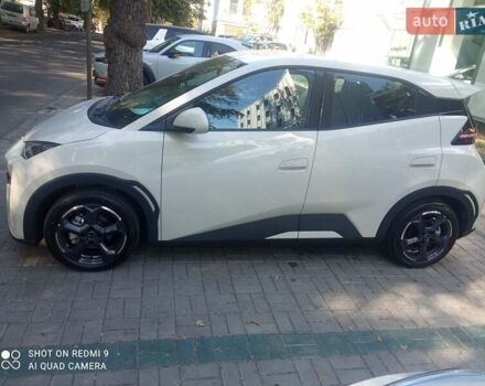 Белый БИД Seagull, объемом двигателя 0 л и пробегом 1 тыс. км за 13799 $, фото 1 на Automoto.ua