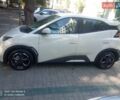 Белый БИД Seagull, объемом двигателя 0 л и пробегом 1 тыс. км за 13799 $, фото 1 на Automoto.ua