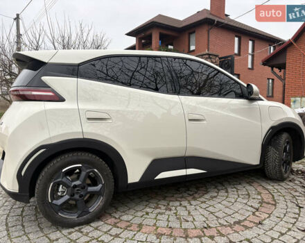 Белый БИД Seagull, объемом двигателя 0 л и пробегом 21 тыс. км за 14300 $, фото 1 на Automoto.ua