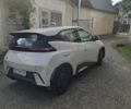 Белый БИД Seagull, объемом двигателя 0 л и пробегом 10 тыс. км за 13100 $, фото 4 на Automoto.ua