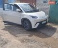 Белый БИД Seagull, объемом двигателя 0 л и пробегом 7 тыс. км за 15300 $, фото 4 на Automoto.ua