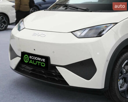 Белый БИД Seagull, объемом двигателя 0 л и пробегом 15 тыс. км за 14000 $, фото 6 на Automoto.ua