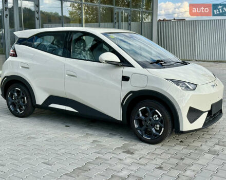 Белый БИД Seagull, объемом двигателя 0 л и пробегом 1 тыс. км за 16100 $, фото 6 на Automoto.ua