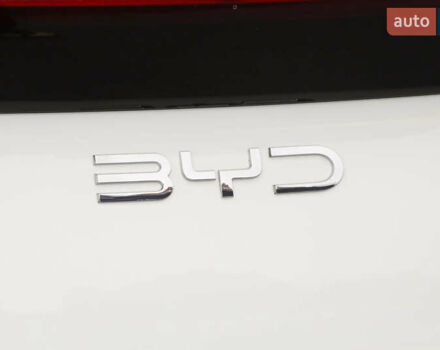 Белый БИД Seagull, объемом двигателя 0 л и пробегом 15 тыс. км за 14000 $, фото 19 на Automoto.ua