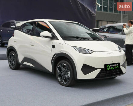 Белый БИД Seagull, объемом двигателя 0 л и пробегом 15 тыс. км за 14000 $, фото 2 на Automoto.ua