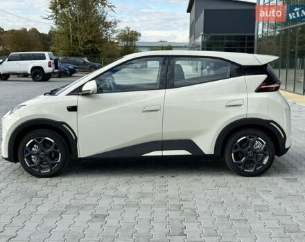 Белый БИД Seagull, объемом двигателя 0 л и пробегом 1 тыс. км за 16100 $, фото 2 на Automoto.ua