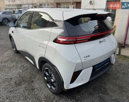 Белый БИД Seagull, объемом двигателя 0 л и пробегом 1 тыс. км за 16400 $, фото 3 на Automoto.ua