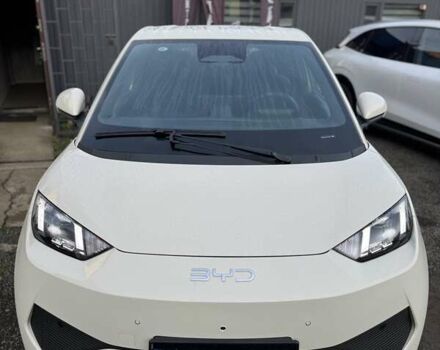 Белый БИД Seagull, объемом двигателя 0 л и пробегом 1 тыс. км за 16400 $, фото 2 на Automoto.ua