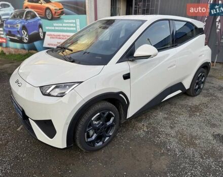 Белый БИД Seagull, объемом двигателя 0 л и пробегом 1 тыс. км за 16400 $, фото 1 на Automoto.ua