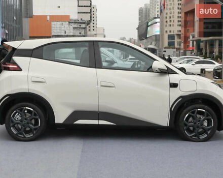 Белый БИД Seagull, объемом двигателя 0 л и пробегом 15 тыс. км за 14000 $, фото 12 на Automoto.ua