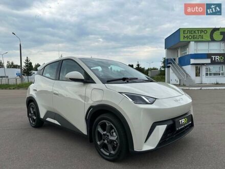 Белый БИД Seagull, объемом двигателя 0 л и пробегом 22 тыс. км за 12300 $, фото 1 на Automoto.ua