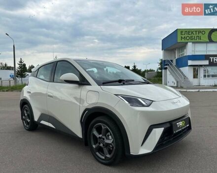 Белый БИД Seagull, объемом двигателя 0 л и пробегом 22 тыс. км за 12300 $, фото 1 на Automoto.ua