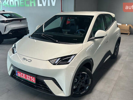 Белый БИД Seagull, объемом двигателя 0 л и пробегом 17 тыс. км за 14000 $, фото 1 на Automoto.ua