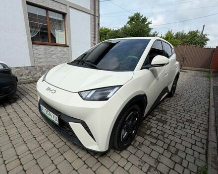 Белый БИД Seagull, объемом двигателя 0 л и пробегом 20 тыс. км за 14000 $, фото 1 на Automoto.ua