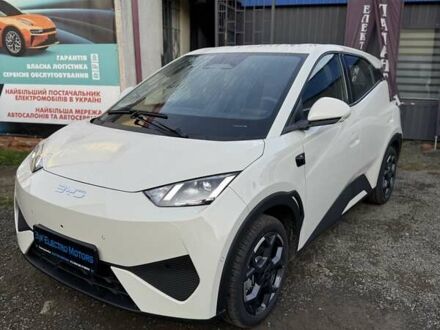 Белый БИД Seagull, объемом двигателя 0 л и пробегом 1 тыс. км за 16400 $, фото 1 на Automoto.ua