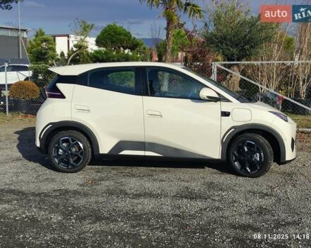 Бежевый БИД Seagull, объемом двигателя 0 л и пробегом 2 тыс. км за 16500 $, фото 1 на Automoto.ua