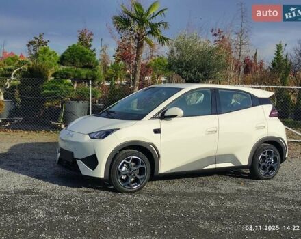 Бежевый БИД Seagull, объемом двигателя 0 л и пробегом 2 тыс. км за 16500 $, фото 2 на Automoto.ua