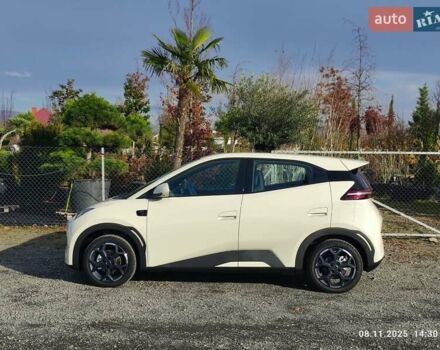 Бежевый БИД Seagull, объемом двигателя 0 л и пробегом 2 тыс. км за 16500 $, фото 3 на Automoto.ua