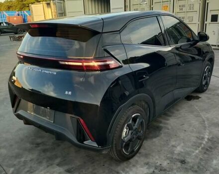 Черный БИД Seagull, объемом двигателя 0 л и пробегом 5 тыс. км за 12400 $, фото 4 на Automoto.ua