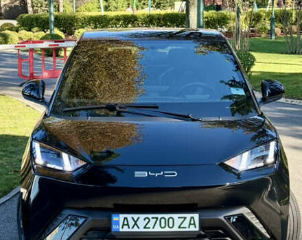 Черный БИД Seagull, объемом двигателя 0 л и пробегом 18 тыс. км за 13500 $, фото 1 на Automoto.ua
