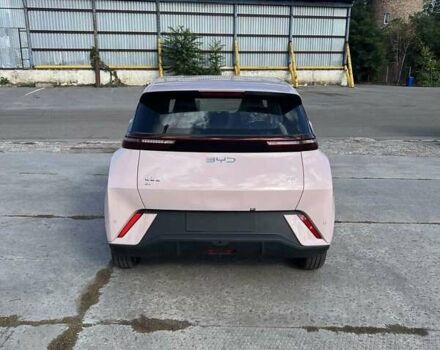 Красный БИД Seagull, объемом двигателя 0 л и пробегом 1 тыс. км за 15300 $, фото 2 на Automoto.ua