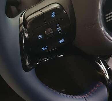 БИД Seagull, объемом двигателя 0 л и пробегом 4 тыс. км за 13800 $, фото 12 на Automoto.ua