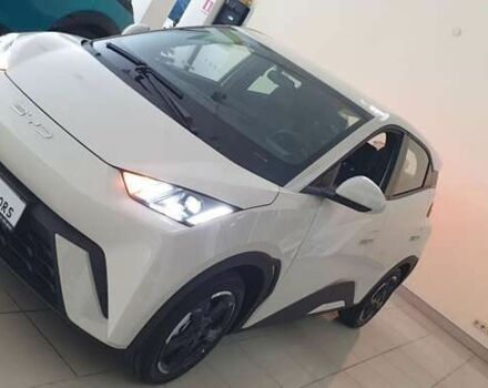 БИД Seagull, объемом двигателя 0 л и пробегом 4 тыс. км за 13800 $, фото 1 на Automoto.ua